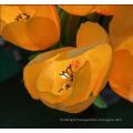 Tulip Artificial Flower Light